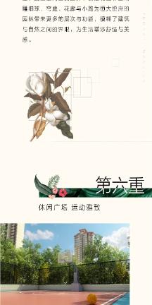 植物大战僵尸3